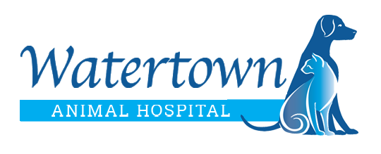 Watertown Animal Hospital